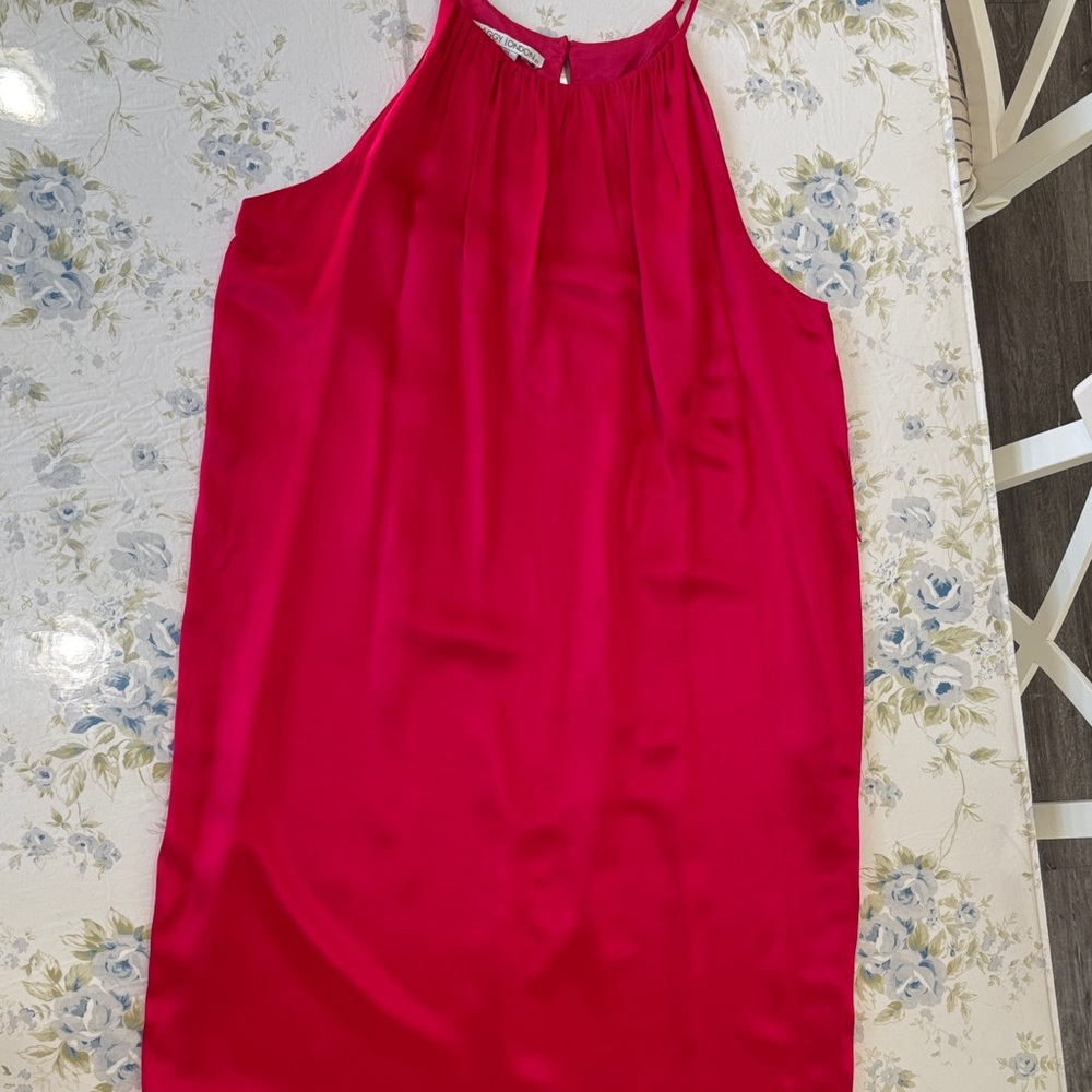 Maggy London Vibrant Pink Mini Dress